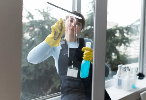 Nettoyage de vitres intérieures et extérieures à Saint-Georges-de-Reneins